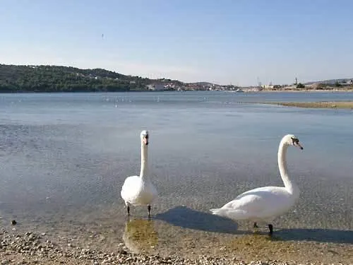 Apartments Jure Trogir