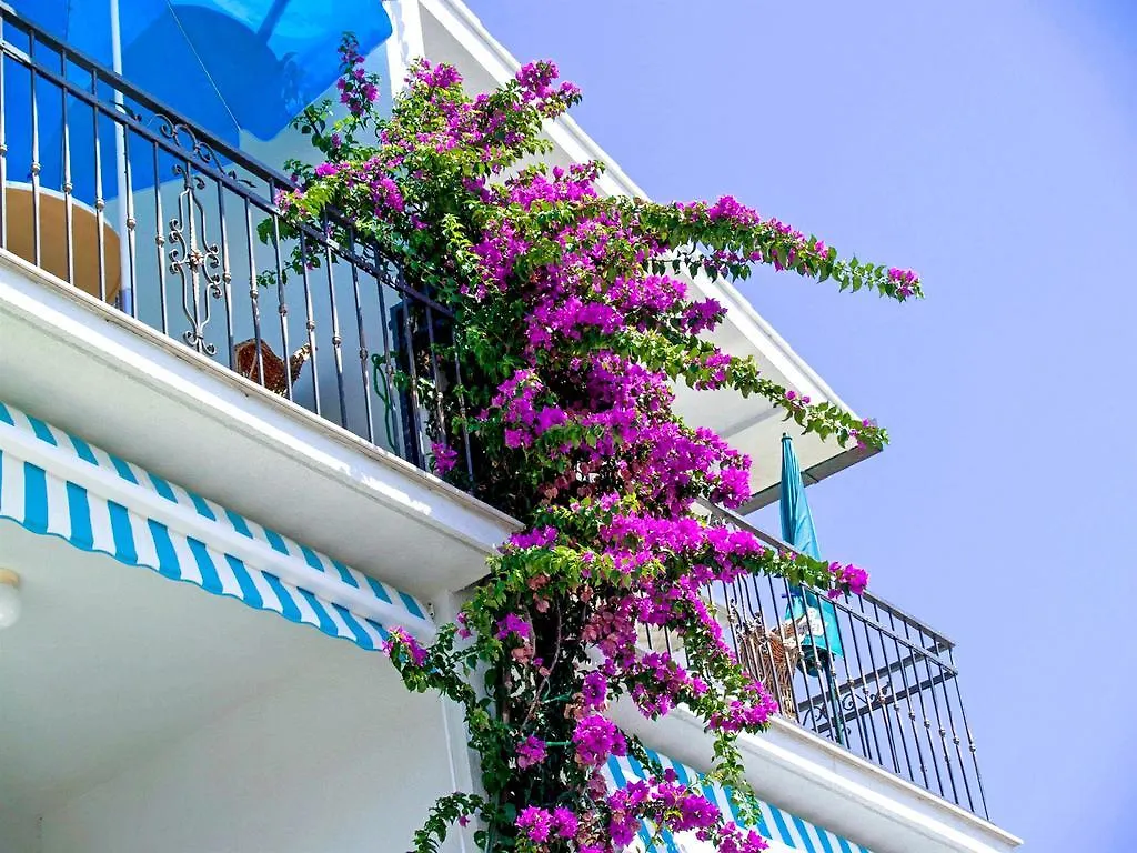 Apartments Jure Trogir